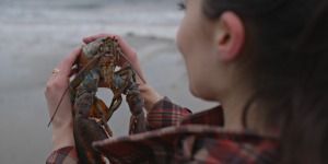Lobster on the beach